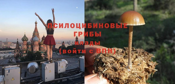 эйфоретик Алексин